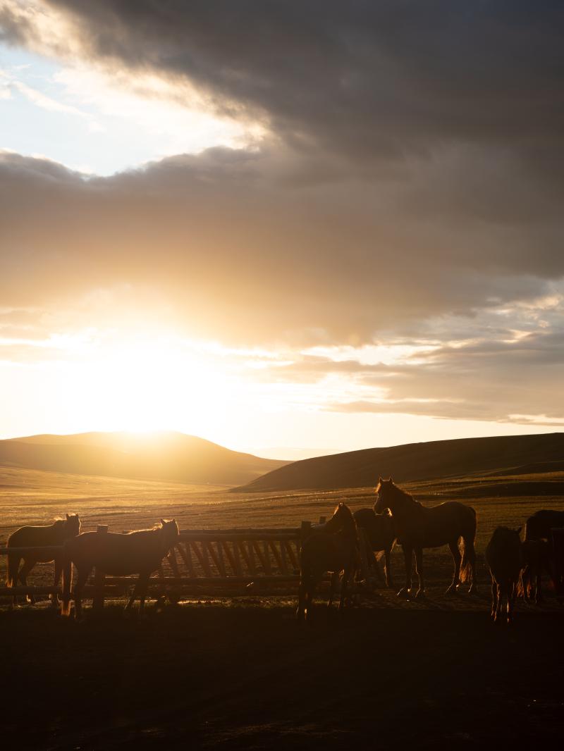 呼伦贝尔草原日落